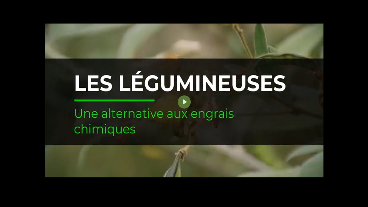 Les légumineuses, une alternative…