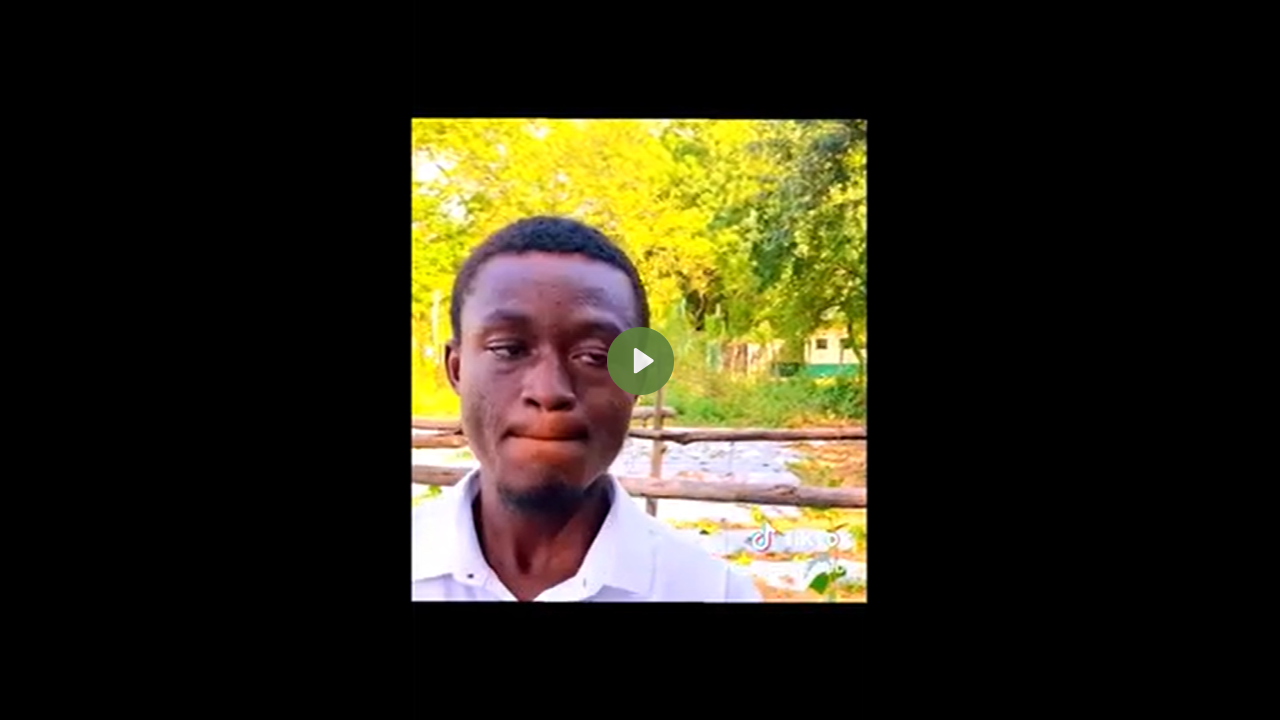 Trellising of cucumber 