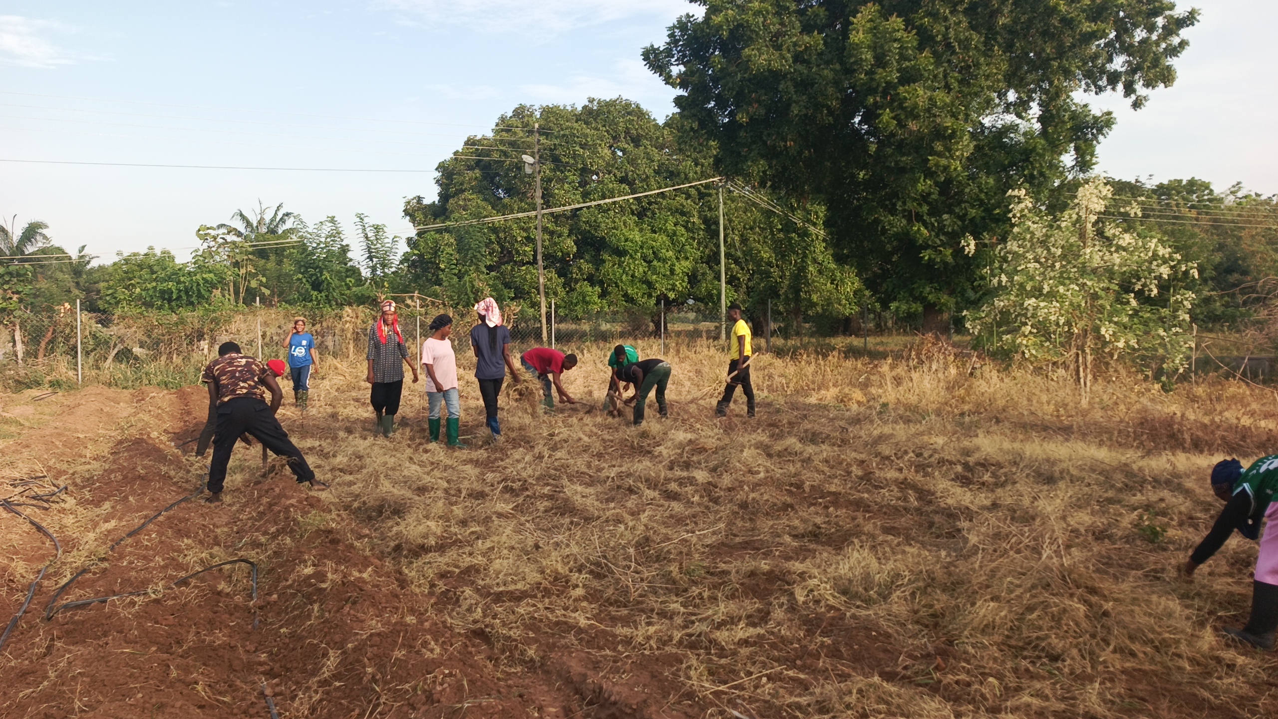 Land preparation 