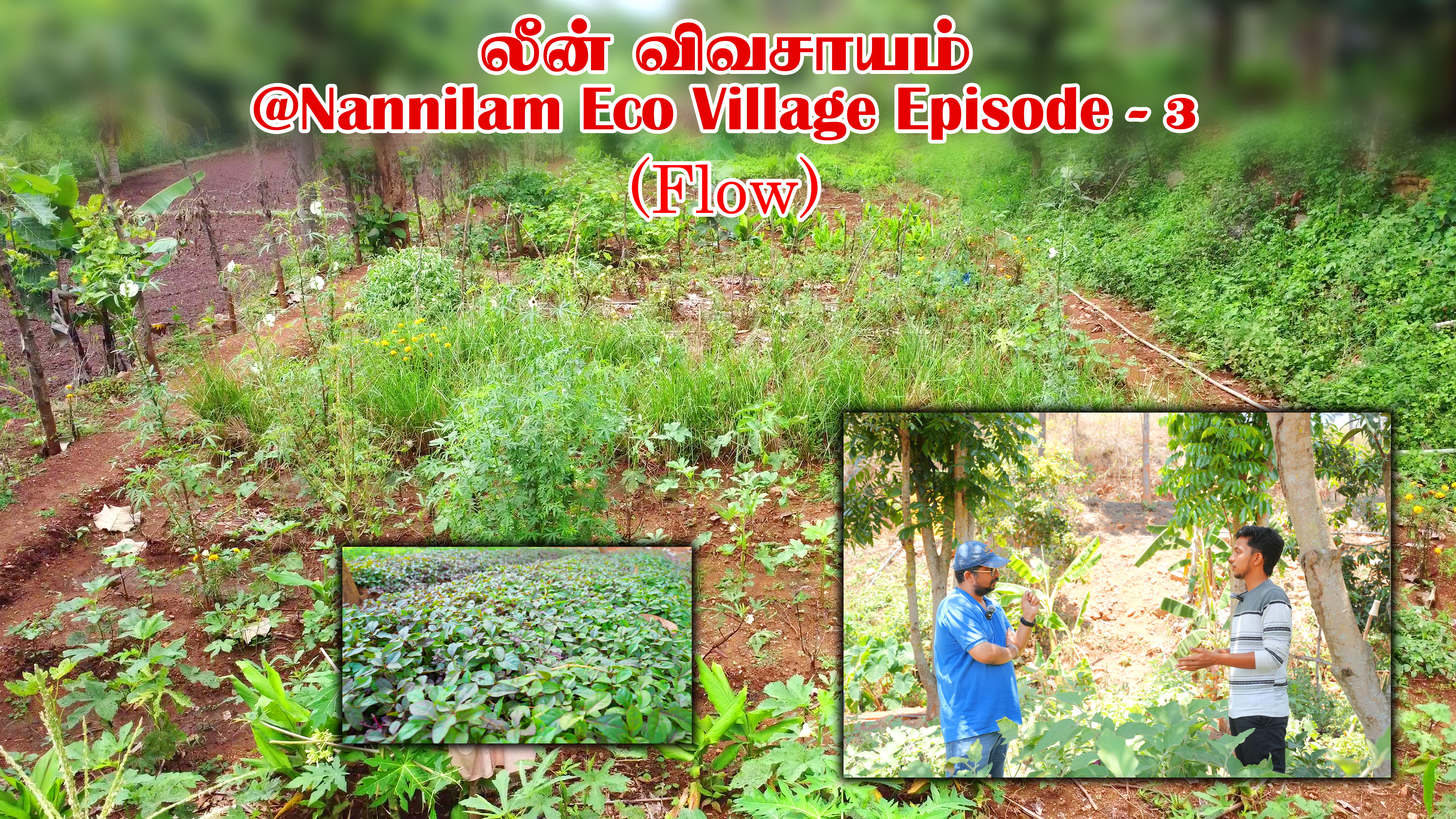 Lean Farming Flow | Nannilam EcoVillage |…