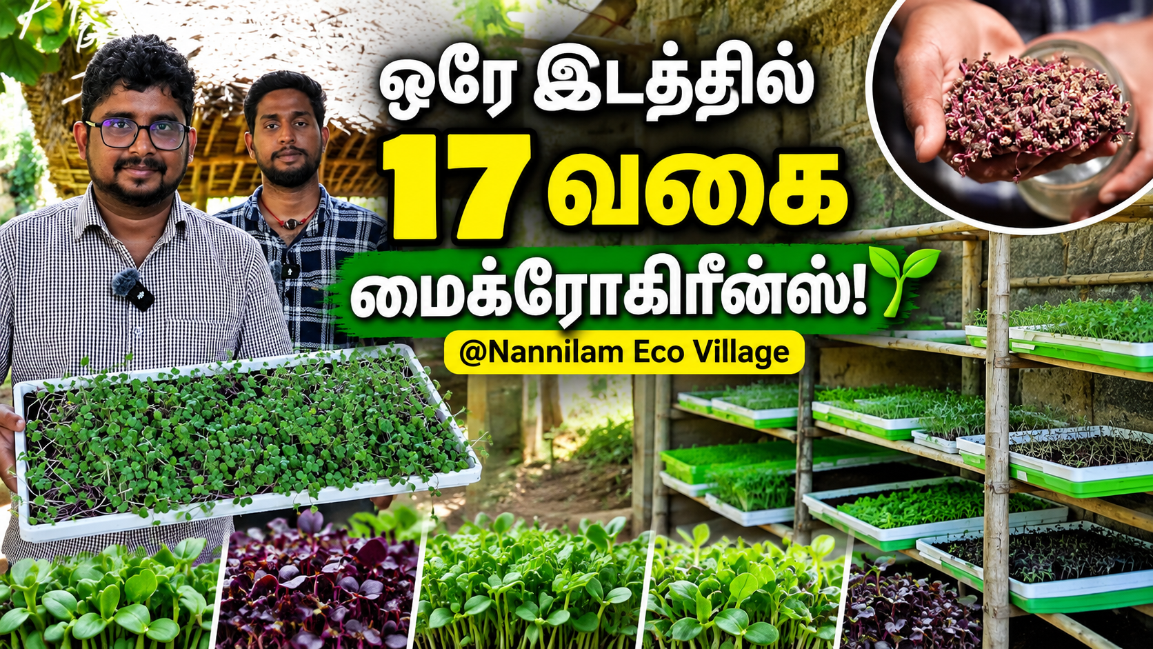 👉 ஒரே இடத்தில் 17 வகை மைக்ரோக்ரீன்ஸ்! 🌱 |…