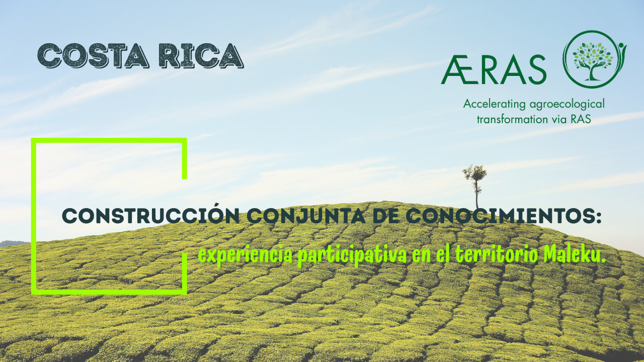 Construcción conjunta de…
