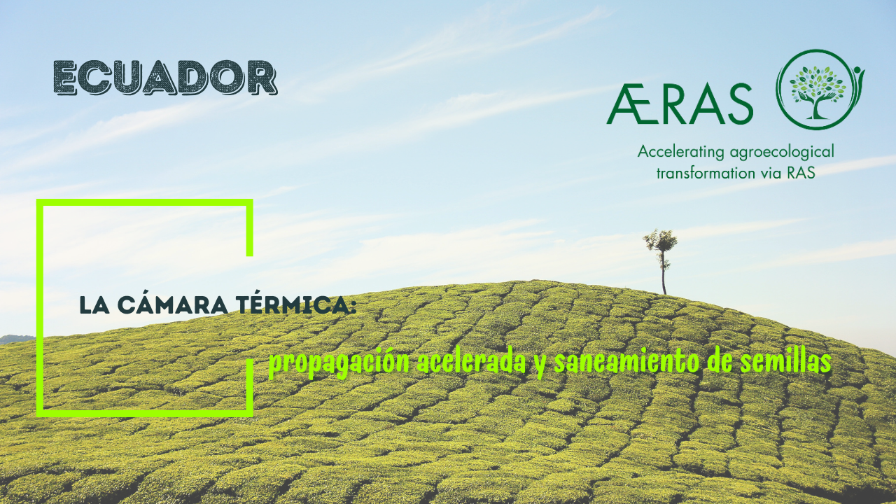 La cámara térmica: propagación…