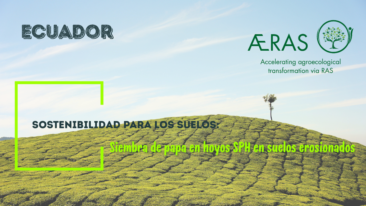 Sostenibilidad para los suelos:…