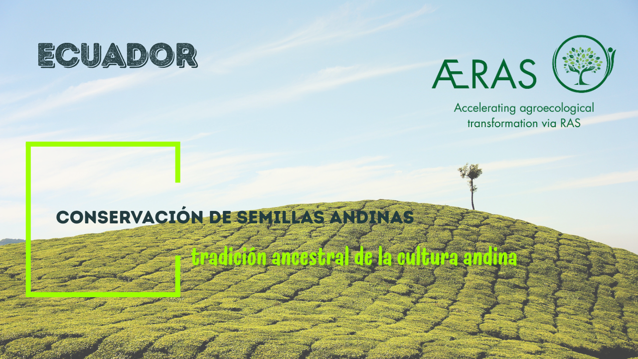 Conservación de semillas andinas:…