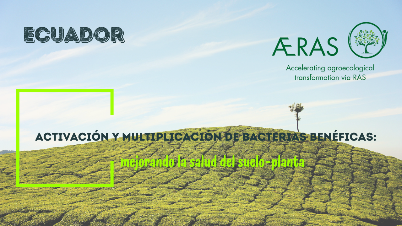 Activación y multiplicación de…