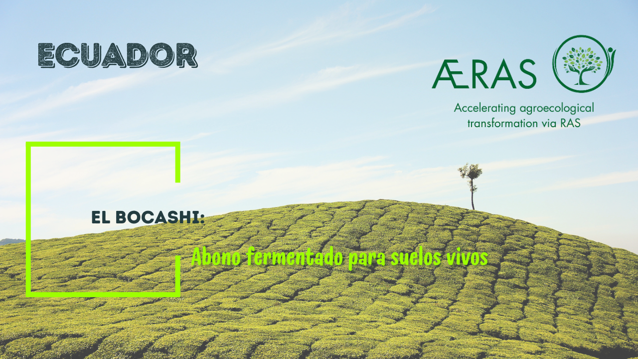 El bocashi: abono fermentado para suelos…