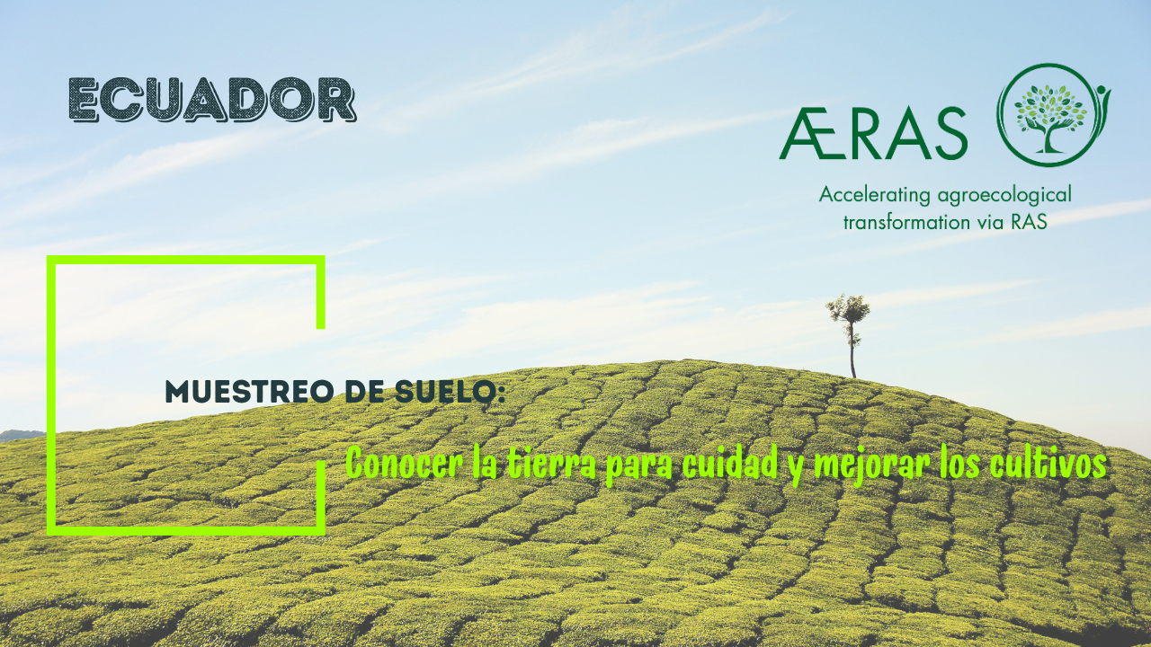 Muestreo de suelo: conocer la…