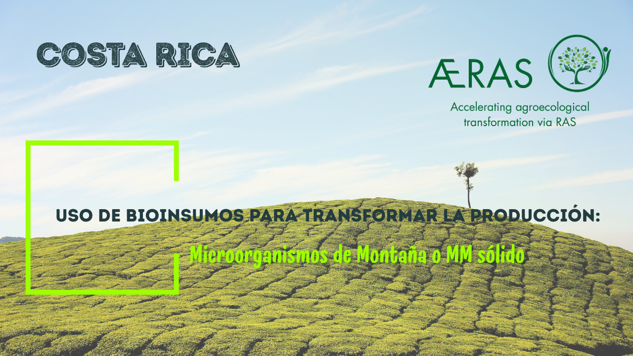 Uso de bioinsumos para transformar…