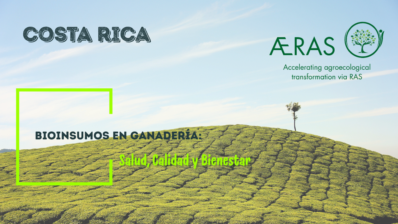 Bioinsumos en ganadería: salud,…