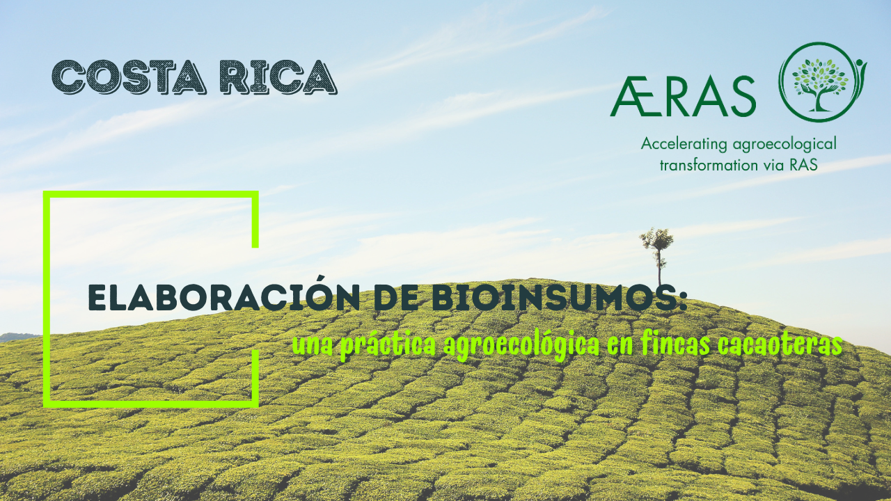 Elaboración de bioinsumos: una…