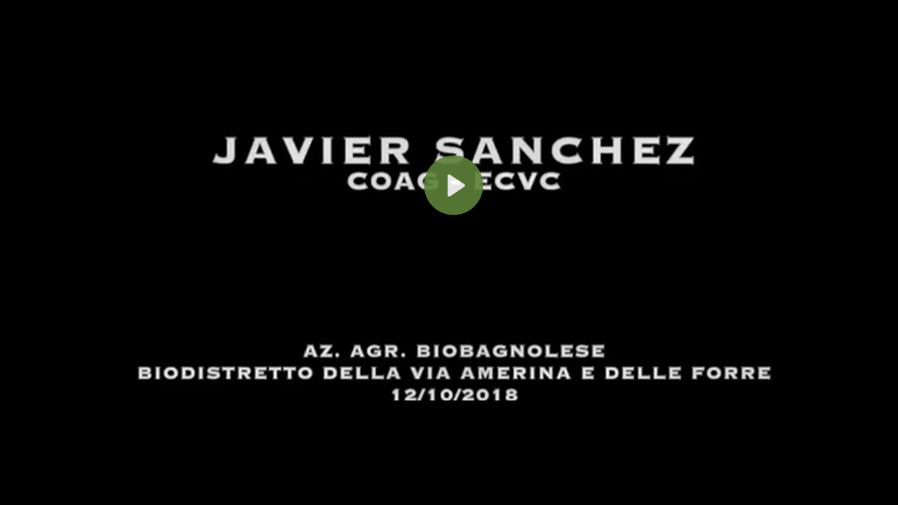 Javier Sanchez, LVC : el processo de la…