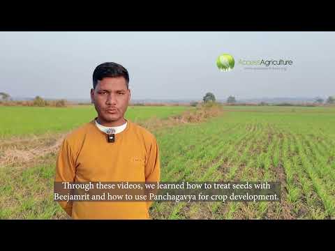 Digital Training, Organic Profits