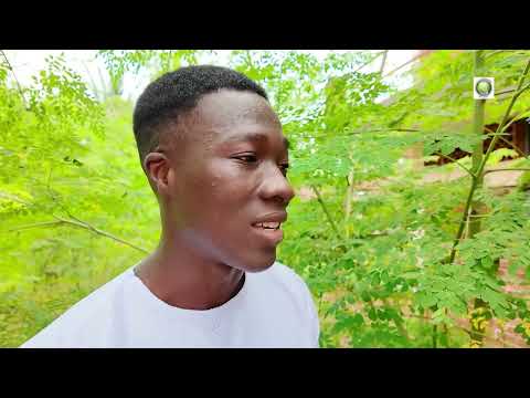 Dr. Abel Eve, Togo, parle de la…
