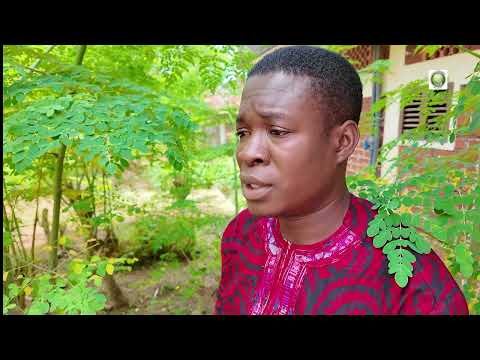 Dr. Abraham Adilehou, Bénin, parle…
