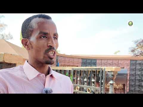 Dr. Endalew Walelign, Ethiopia,…