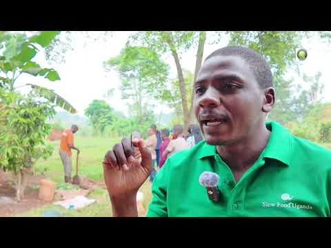 Dr. Hannington Kisakye, Uganda,…