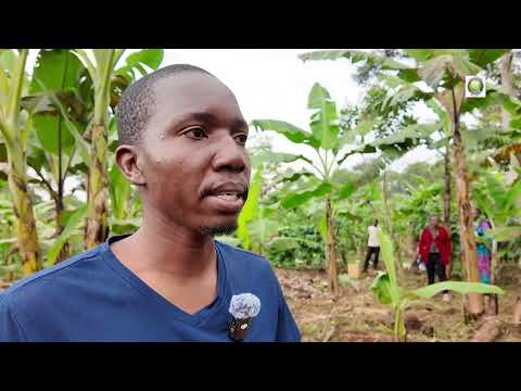 Dr. Nyasha Sakadzo, Zimbabwe,…