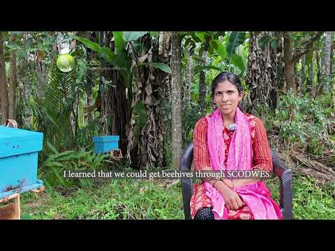 From Boxes to Business