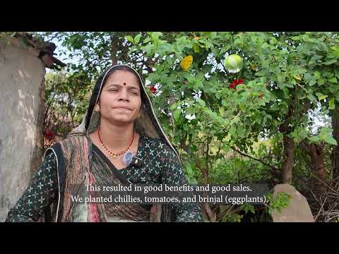 From Kitchen Garden to Market Sales