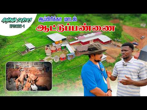 Ghana Series | Africa Goat Farm | Farmin…