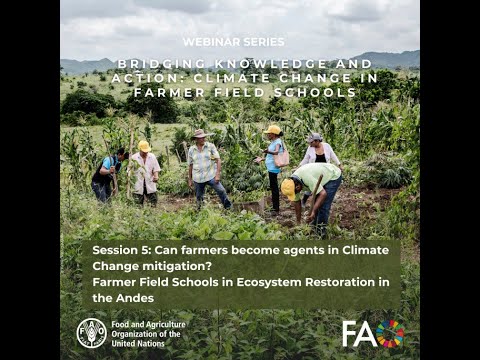 Group Report – Interactive Session on FF…