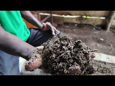 Making Bio-fertilizer