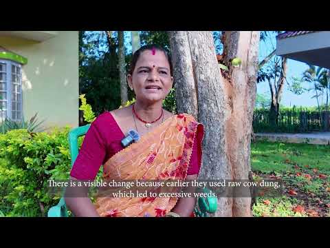 The Digital Entrepreneur