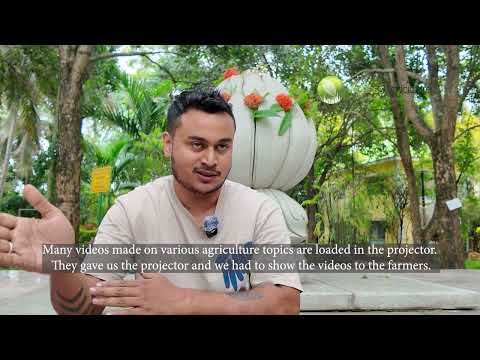 The Digital Executive